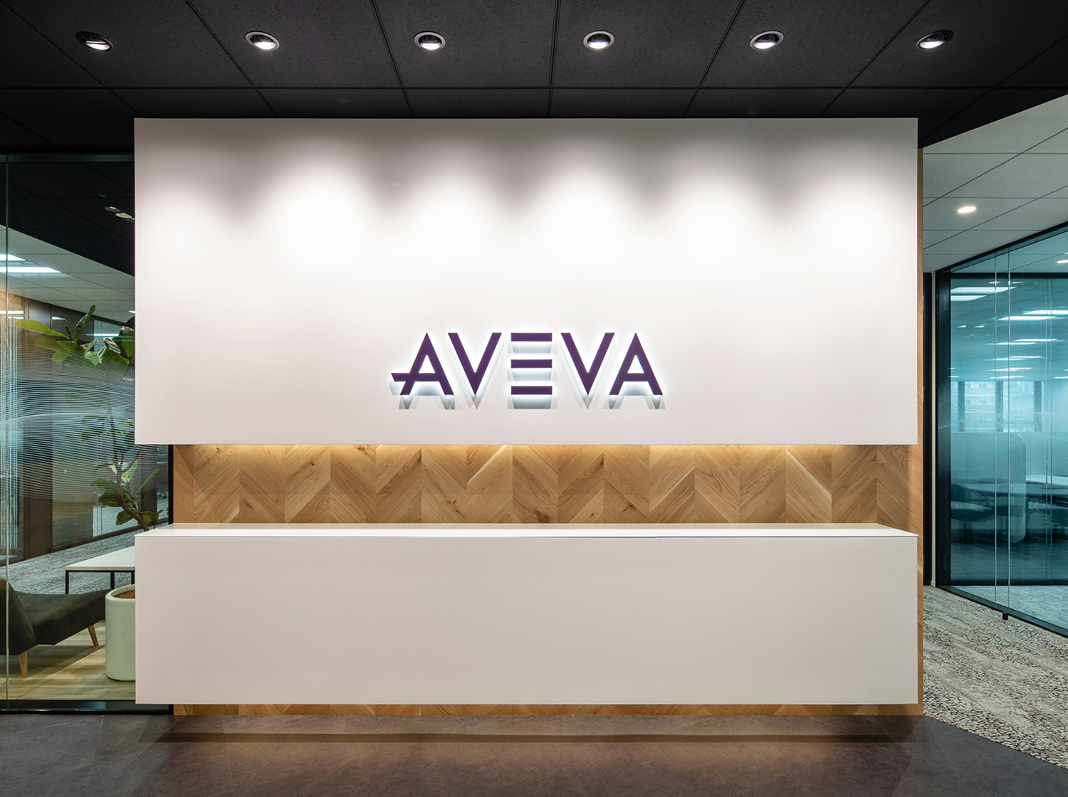 アヴィバ株式会社